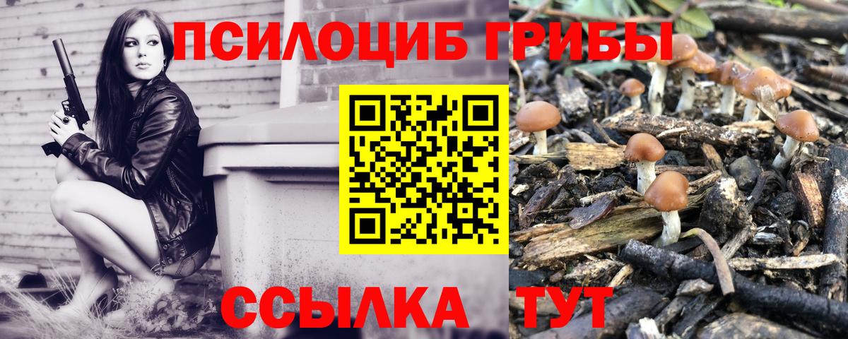 Сарапул  Галлюциногенные грибы Psilocybe  Вход с VPN 