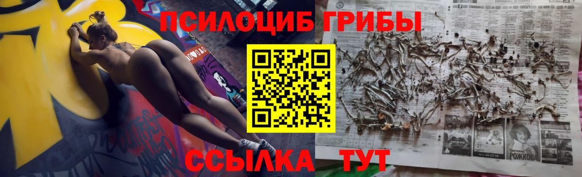 Псилоцибиновые грибы Cubensis Сарапул